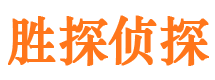 东海岛找人公司